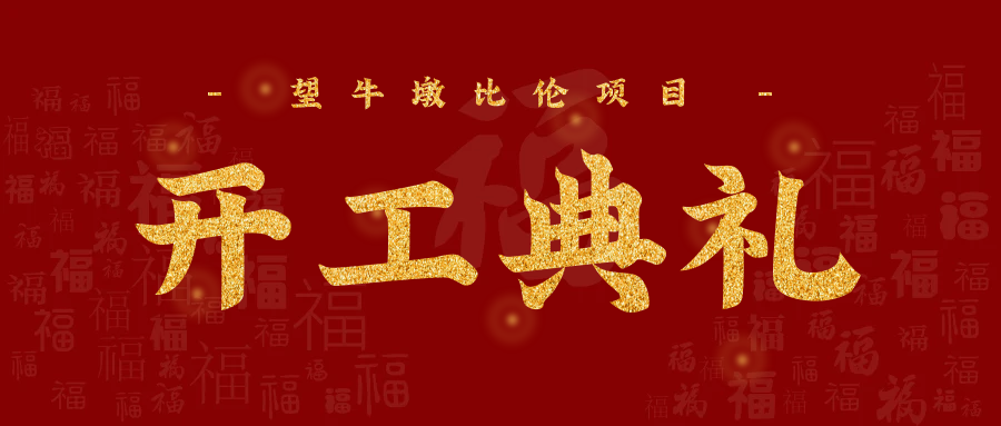 比倫項(xiàng)目開(kāi)工典禮在望牛墩鎮(zhèn)隆重舉行